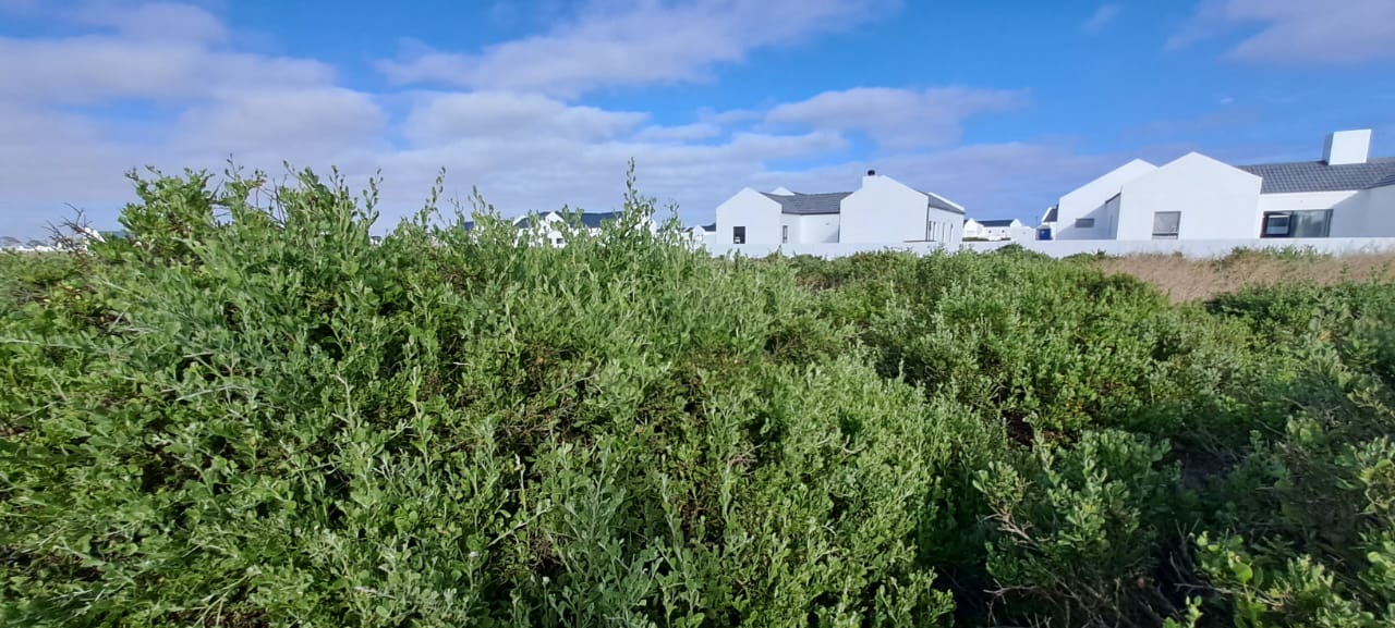 0 Bedroom Property for Sale in Atlantic Sands Private Estate Western Cape